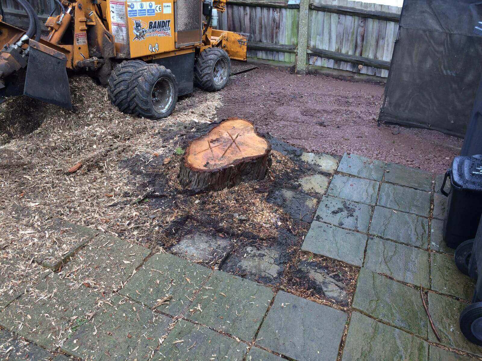 Tree Surgeons West Norwood SE27